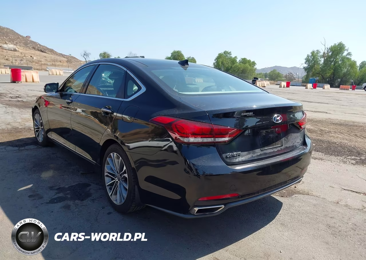 2015 Hyundai Genesis 3.8 VIN:KMHGN4JE6FU084520 - 3