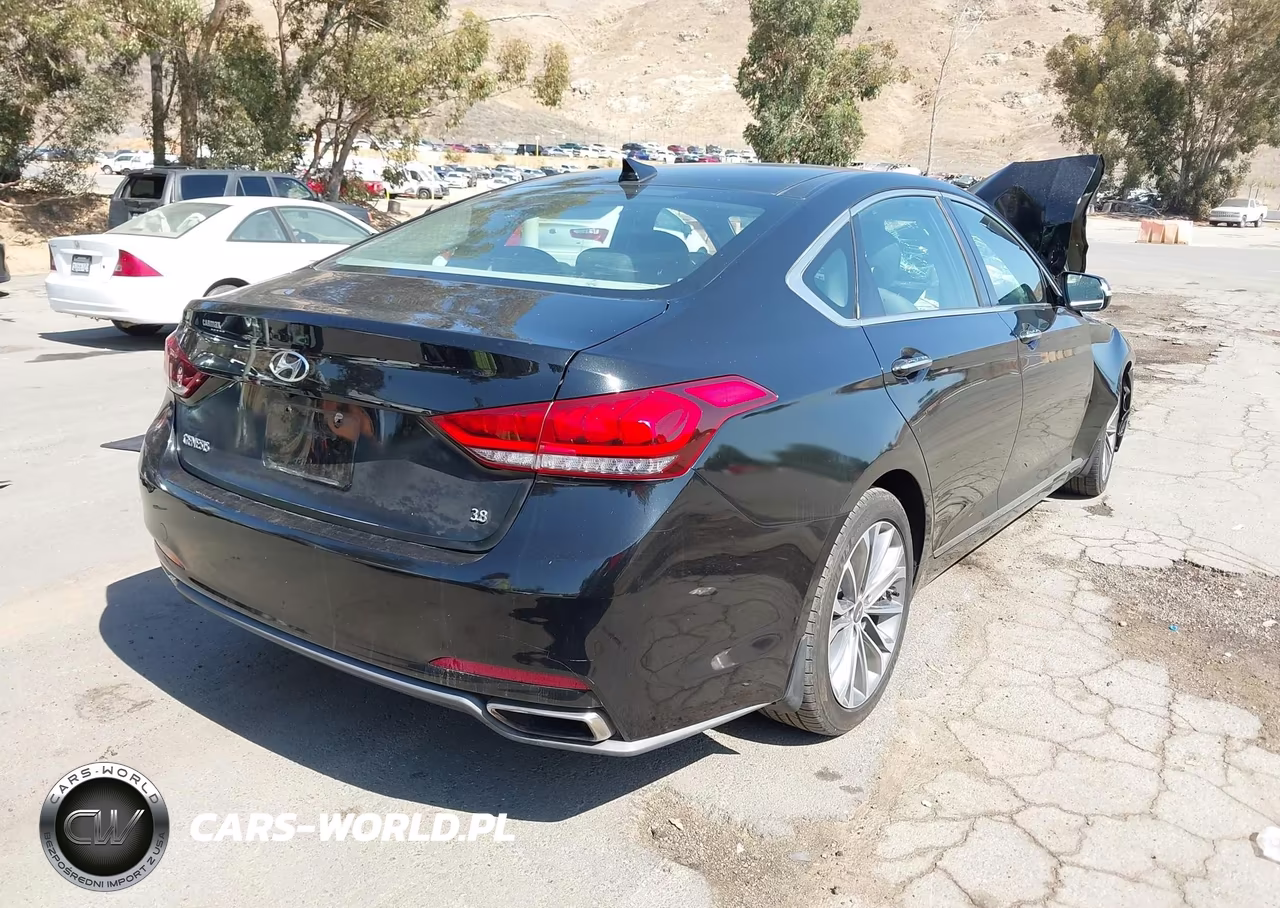 2015 Hyundai Genesis 3.8 VIN:KMHGN4JE6FU084520 - 4