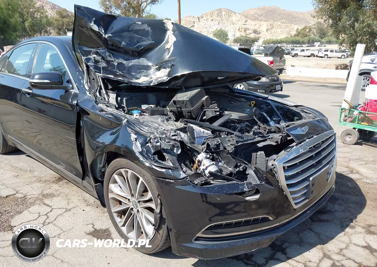 2015 Hyundai Genesis 3.8 VIN:KMHGN4JE6FU084520 - 6