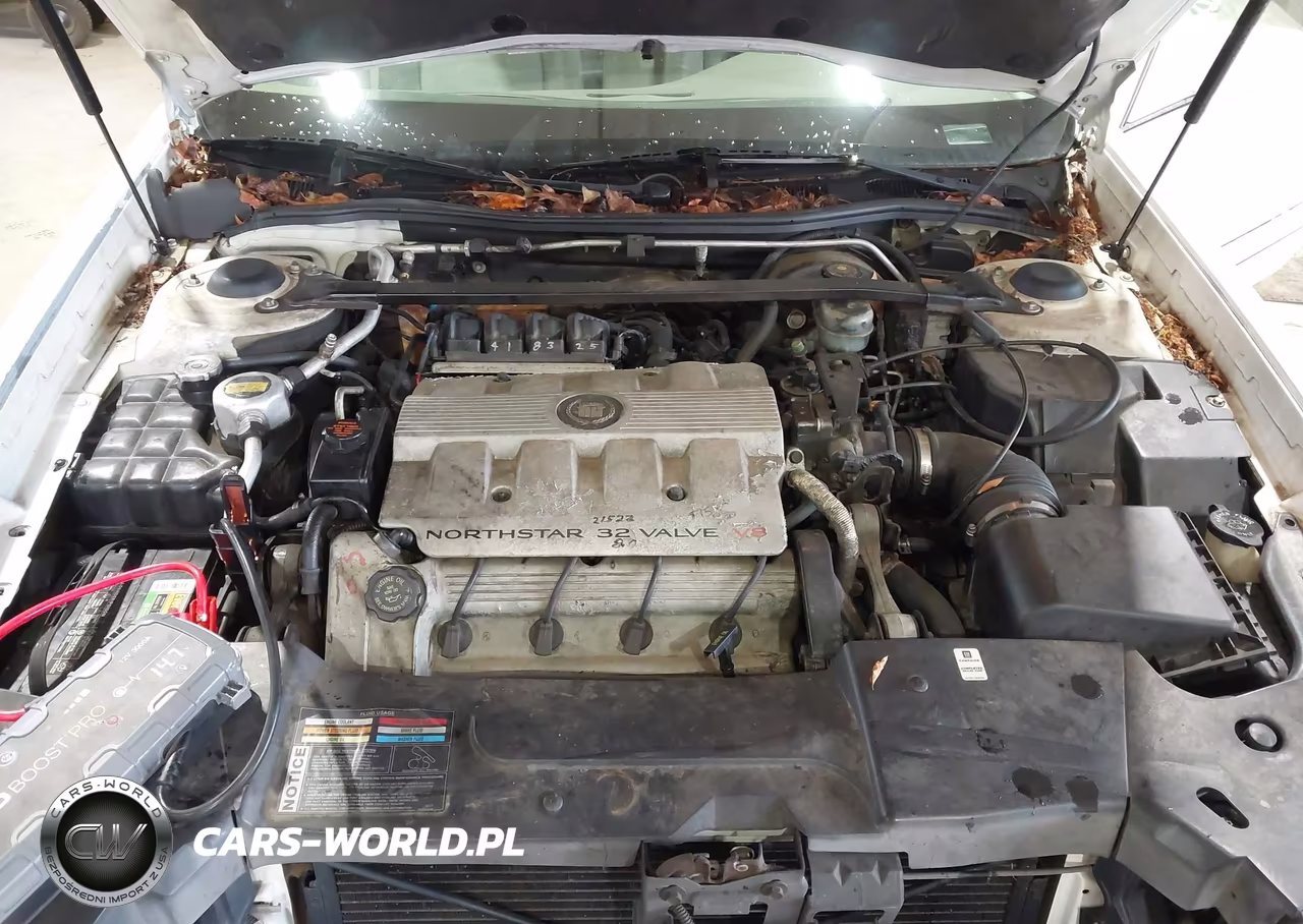 1999 Cadillac Deville Standard VIN:1G6KD54Y2XU769230 - 10