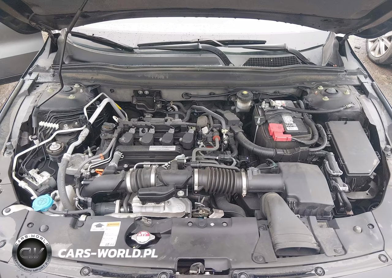 2019 Honda Accord Lx VIN:1HGCV1F13KA048935 - 10