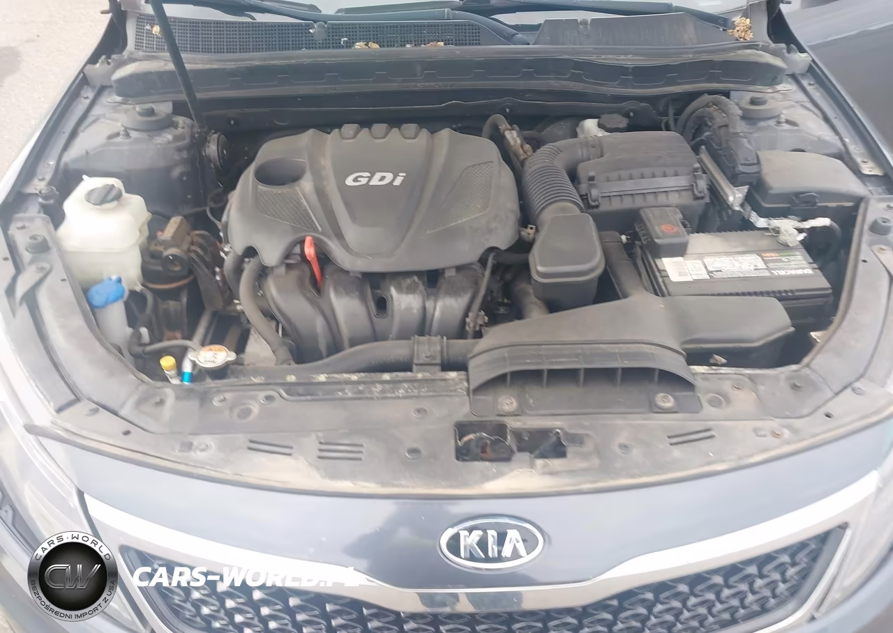 2011 Kia Optima Lx VIN:KNAGM4A75B5182464 - 10