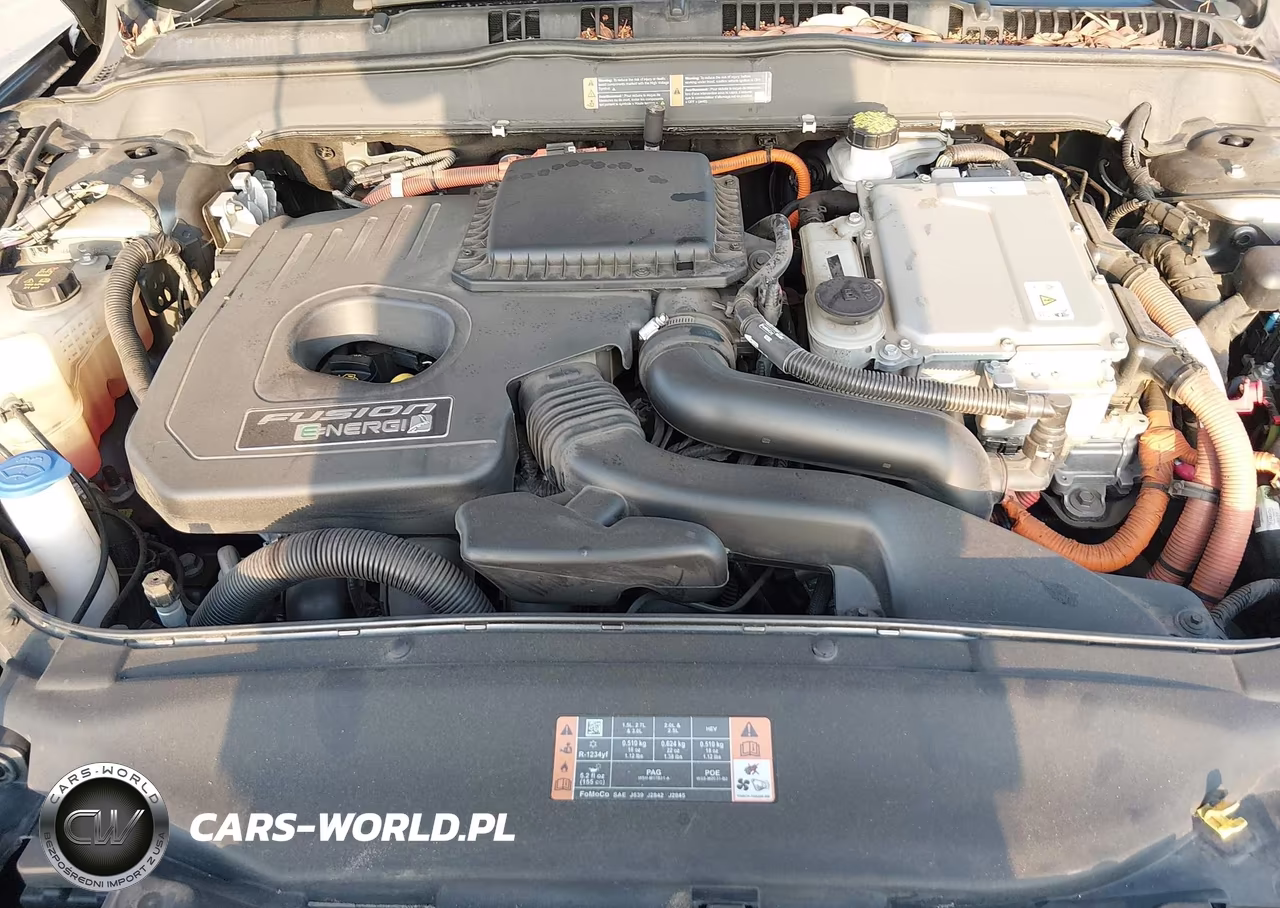 2019 Ford Fusion Energi Titanium VIN:3FA6P0SU9KR114576 - 10