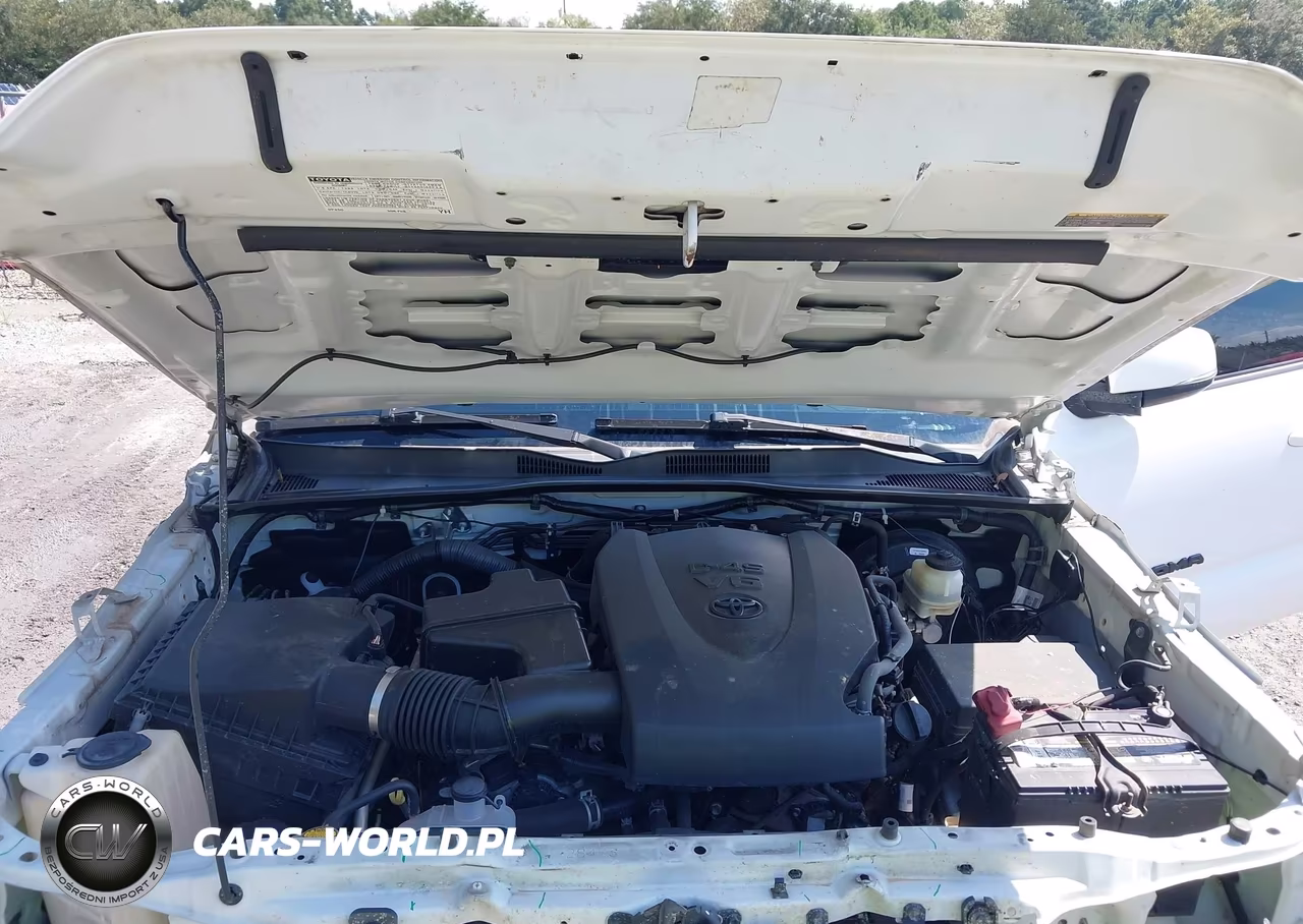2016 Toyota Tacoma Trd Sport VIN:5TFAZ5CN9GX004323 - 10