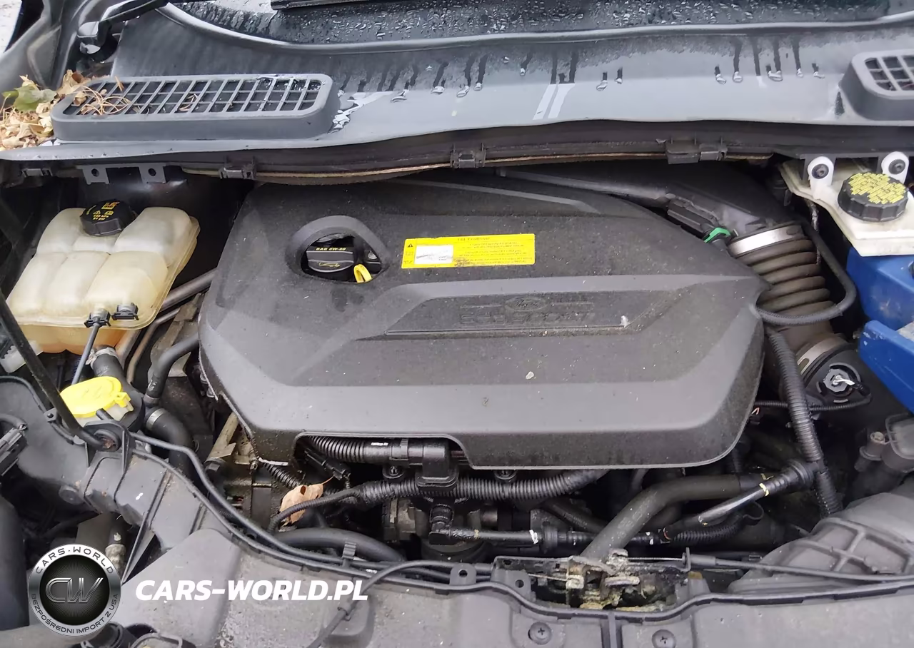 2015 Ford Escape Se VIN:1FMCU9GX2FUC53066 - 10
