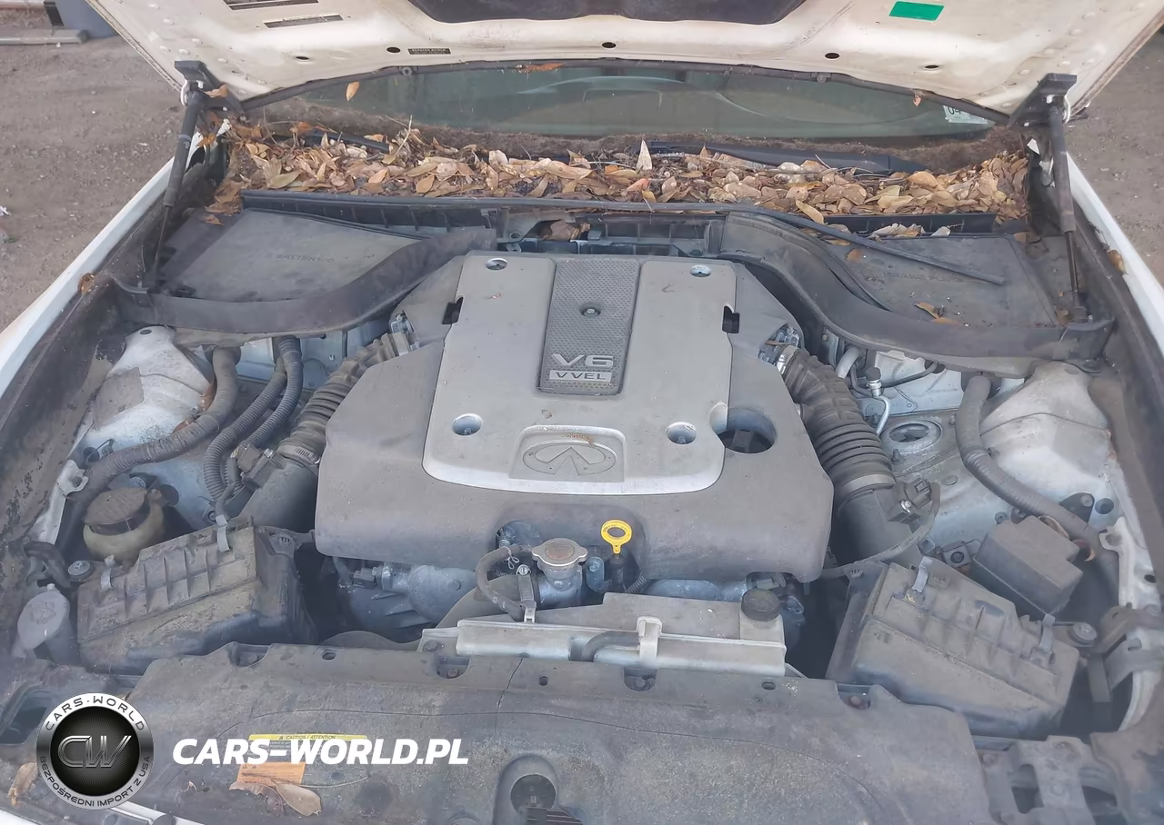 2009 Infiniti G37X VIN:JNKCV61F69M357708 - 10