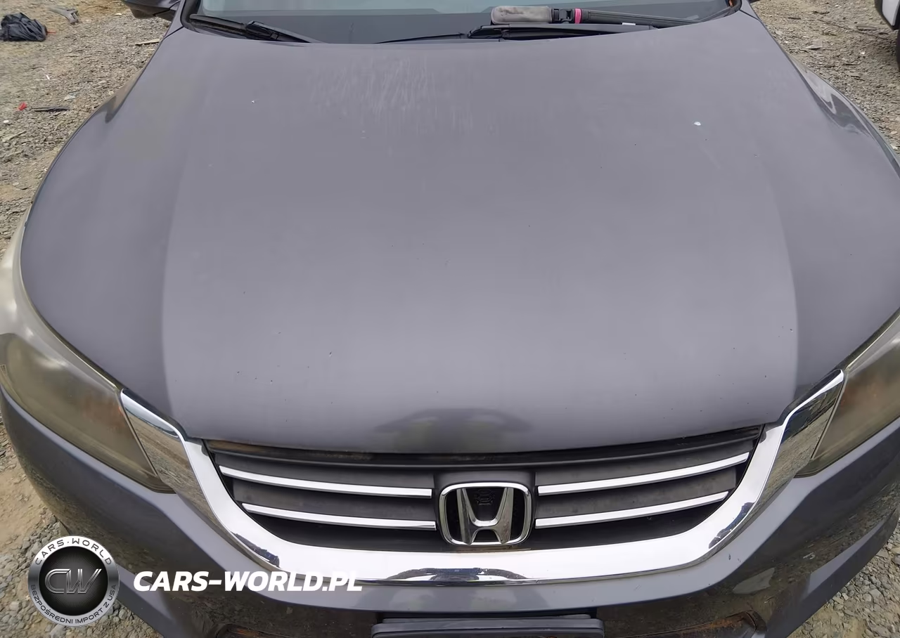 2014 Honda Accord Ex-L VIN:1HGCR2F86EA031882 - 6