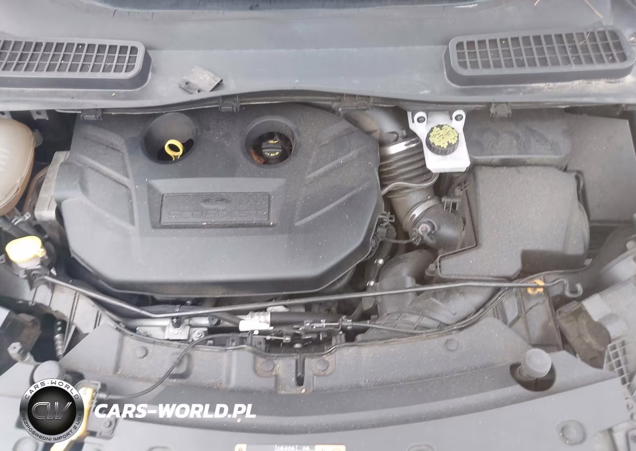 2017 Ford Escape Se VIN:1FMCU9G97HUA10230 - 10