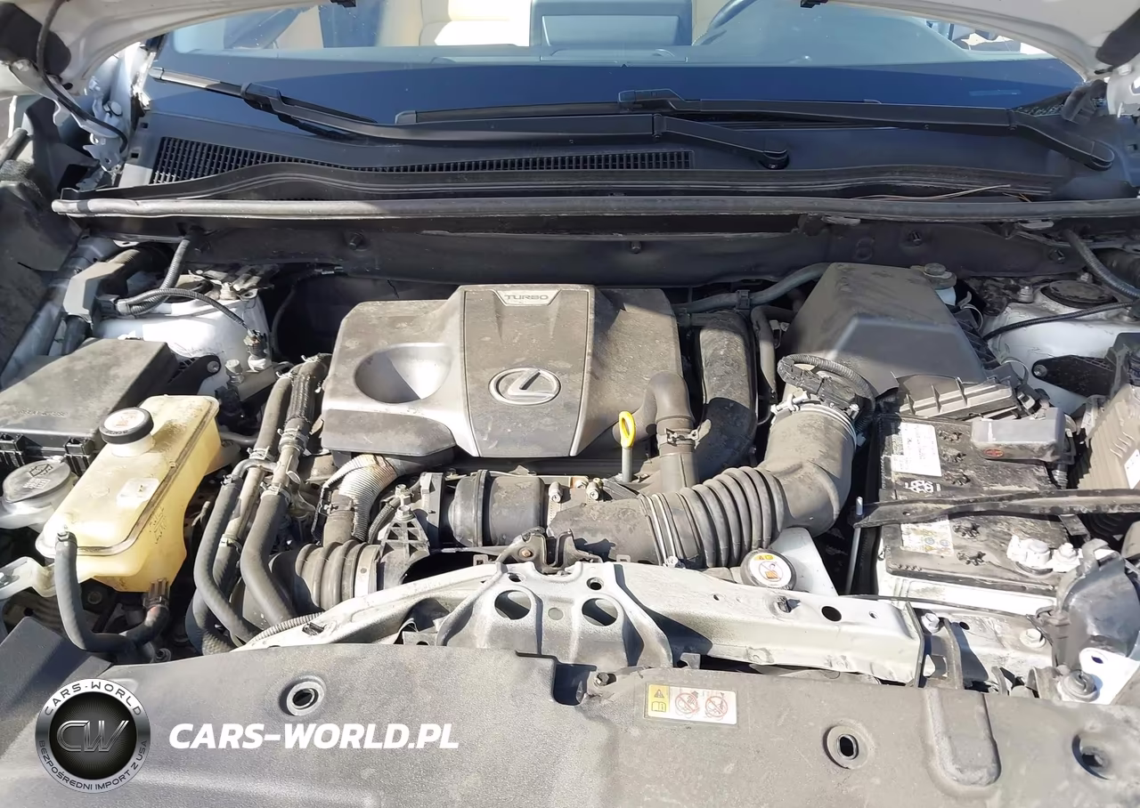 2020 Lexus Nx 300 VIN:JTJDARBZ2L5001105 - 10