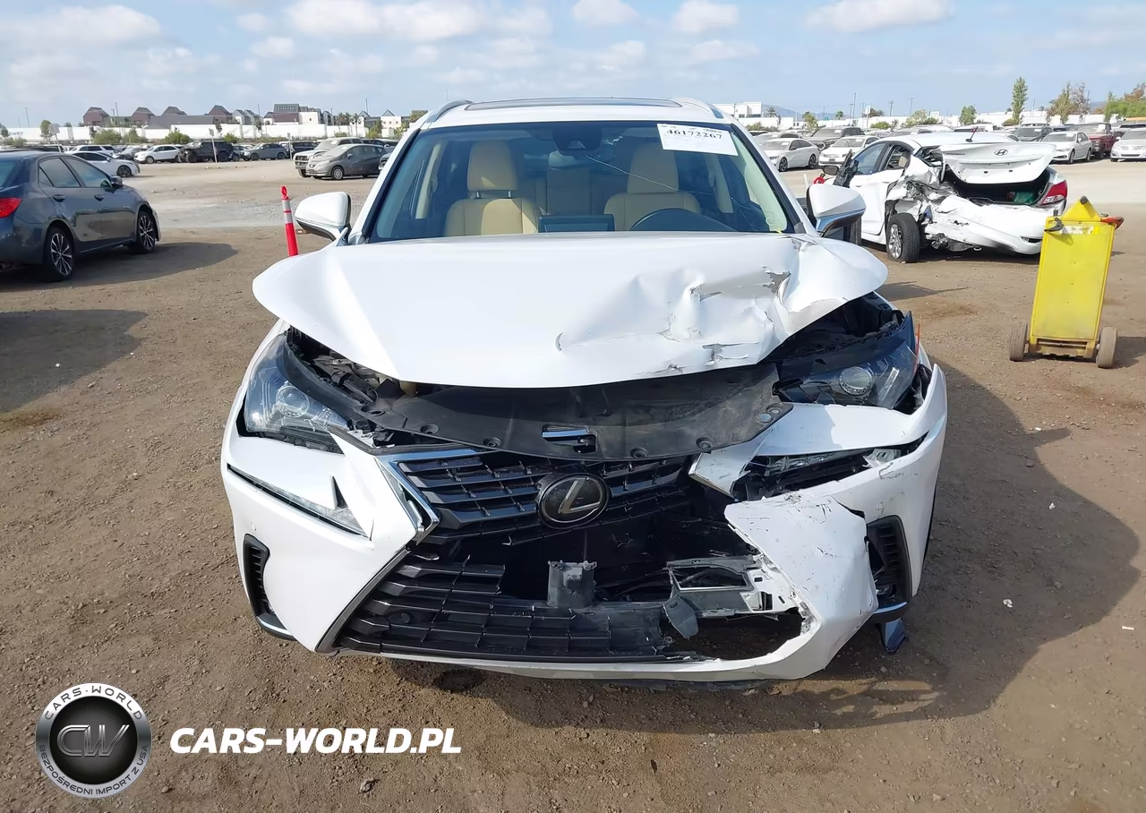 2020 Lexus Nx 300 VIN:JTJDARBZ2L5001105 - 12