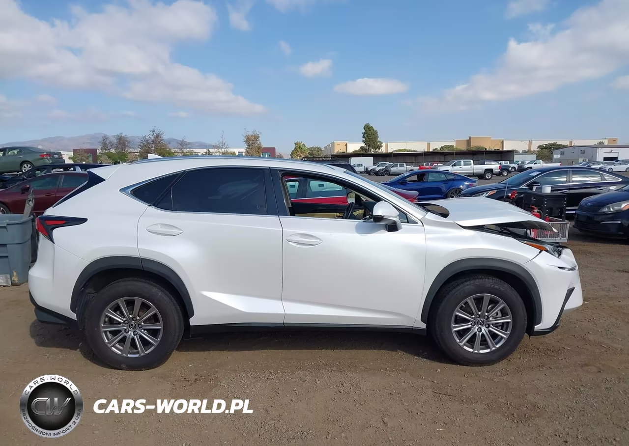 2020 Lexus Nx 300 VIN:JTJDARBZ2L5001105 - 13