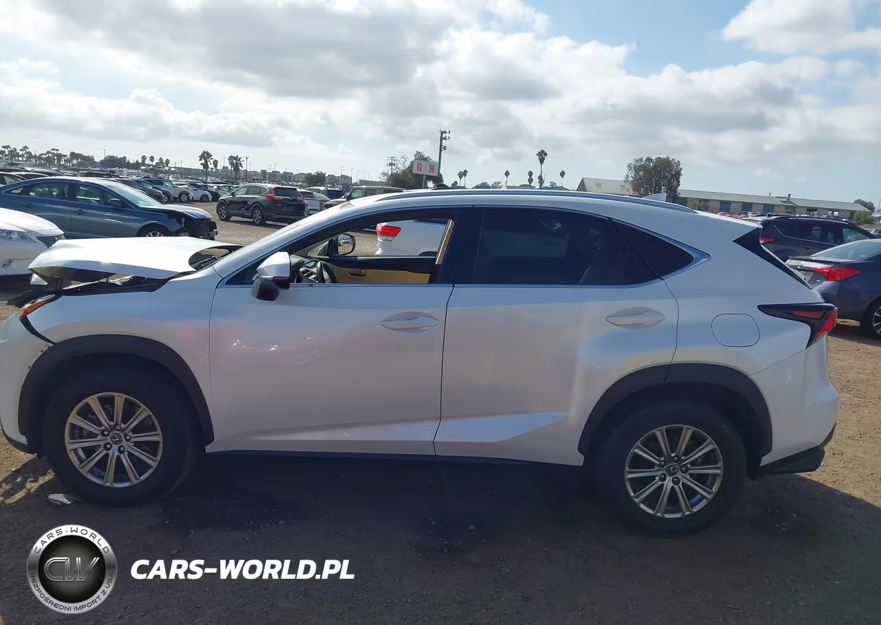 2020 Lexus Nx 300 VIN:JTJDARBZ2L5001105 - 14
