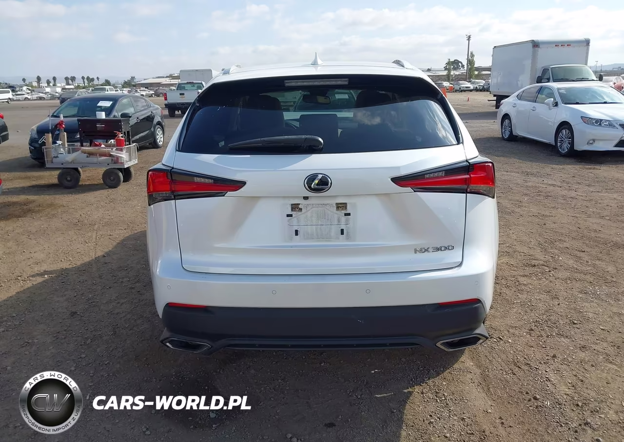 2020 Lexus Nx 300 VIN:JTJDARBZ2L5001105 - 16