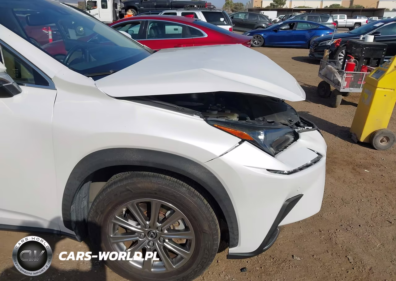 2020 Lexus Nx 300 VIN:JTJDARBZ2L5001105 - 18