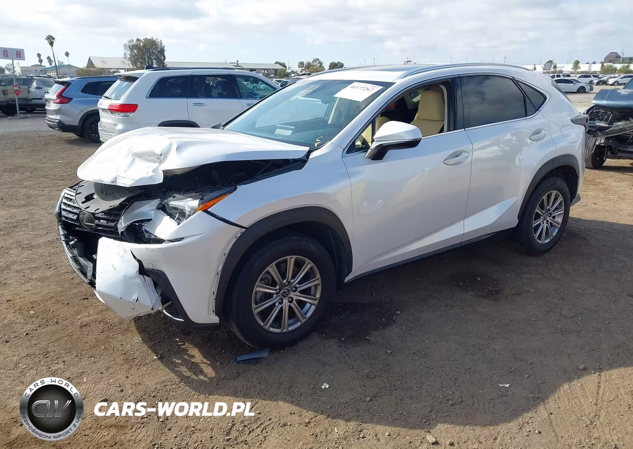 2020 Lexus Nx 300 VIN:JTJDARBZ2L5001105 - 2