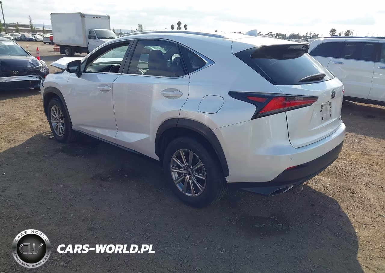 2020 Lexus Nx 300 VIN:JTJDARBZ2L5001105 - 3