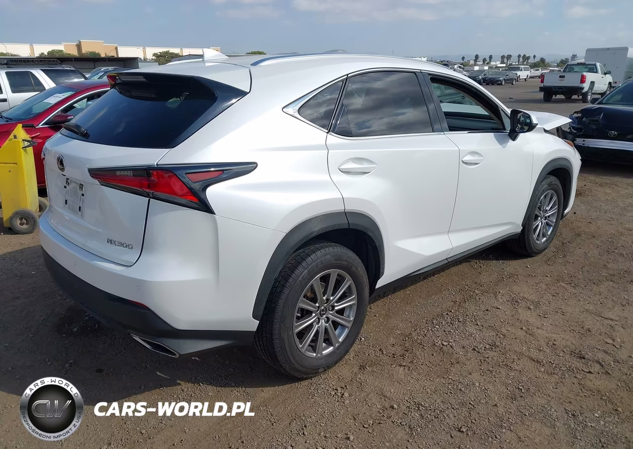 2020 Lexus Nx 300 VIN:JTJDARBZ2L5001105 - 4