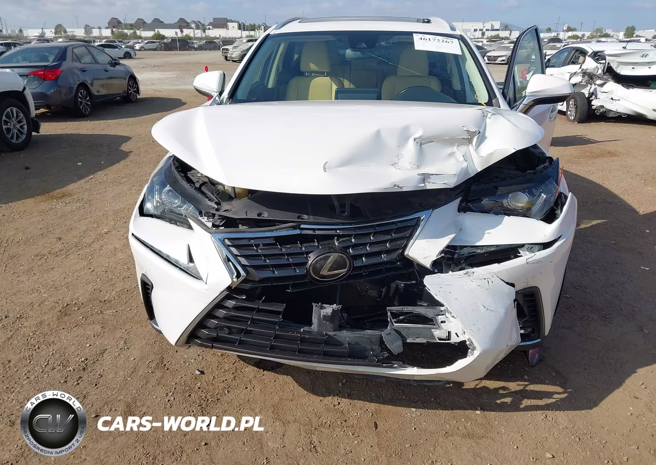 2020 Lexus Nx 300 VIN:JTJDARBZ2L5001105 - 6