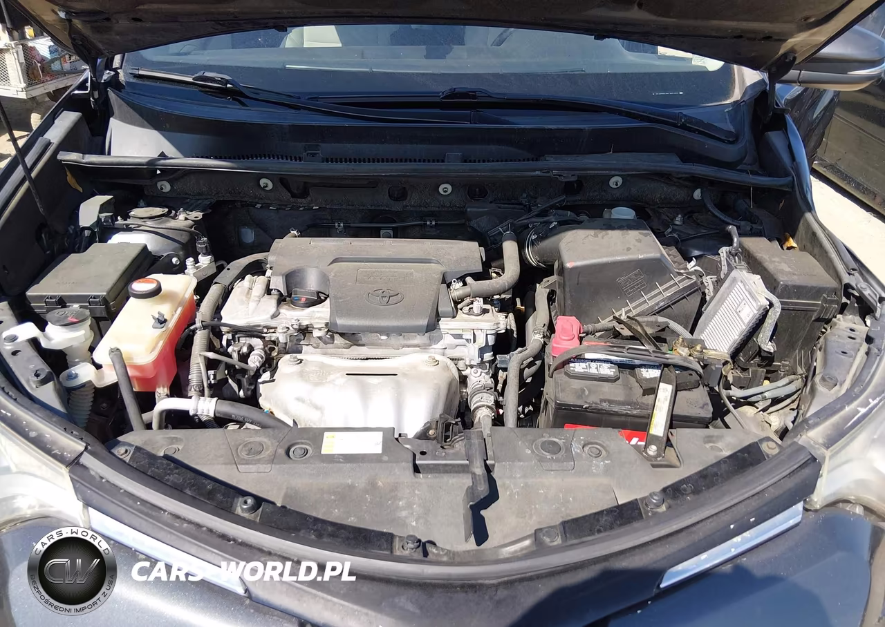 2016 Toyota Rav4 Xle VIN:JTMWFREV7GJ081973 - 10