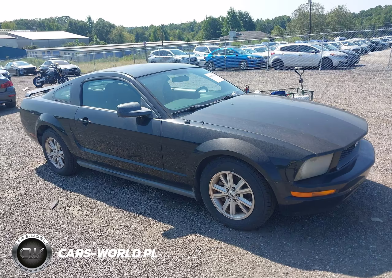 2006 Ford Mustang V6 VIN:1ZVFT80N465158457 - 1