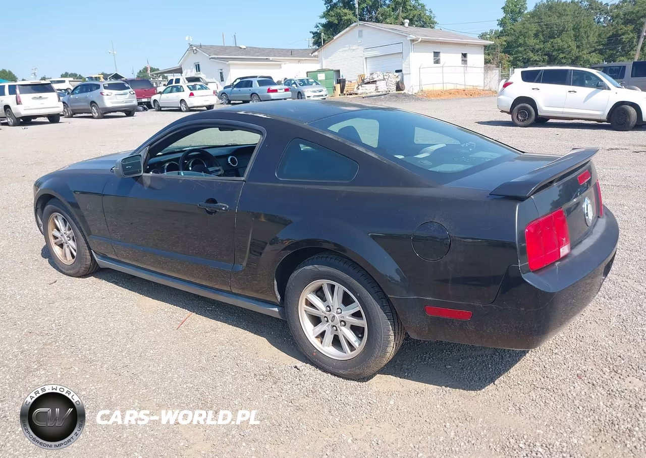 2006 Ford Mustang V6 VIN:1ZVFT80N465158457 - 3
