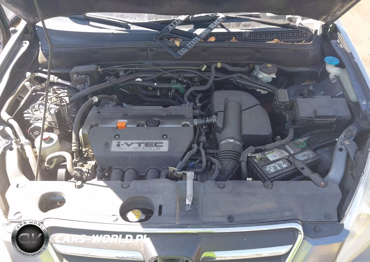 2006 Honda Cr-V Se VIN:JHLRD78996C056844 - 10