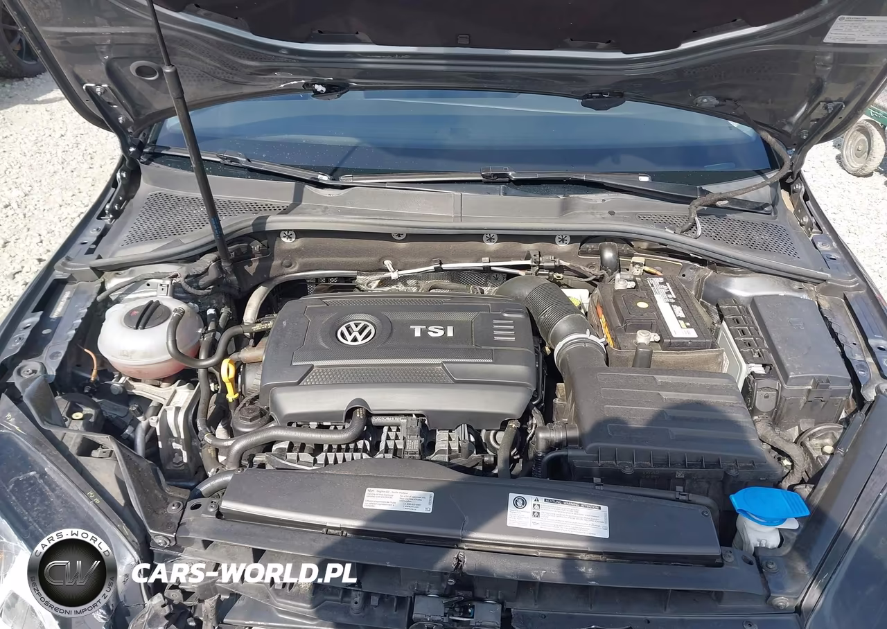 2017 Volkswagen Golf Alltrack Tsi S-Tsi Se-Tsi Sel VIN:3VWH17AU2HM544452 - 10