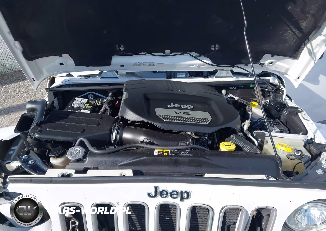 2018 Jeep Wrangler Jk Unlimited Sahara 4X4 VIN:1C4BJWEG1JL924414 - 10