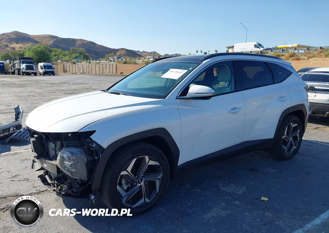 2024 Hyundai Tucson Hybrid Limited VIN:KM8JECD17RU222305 - 2
