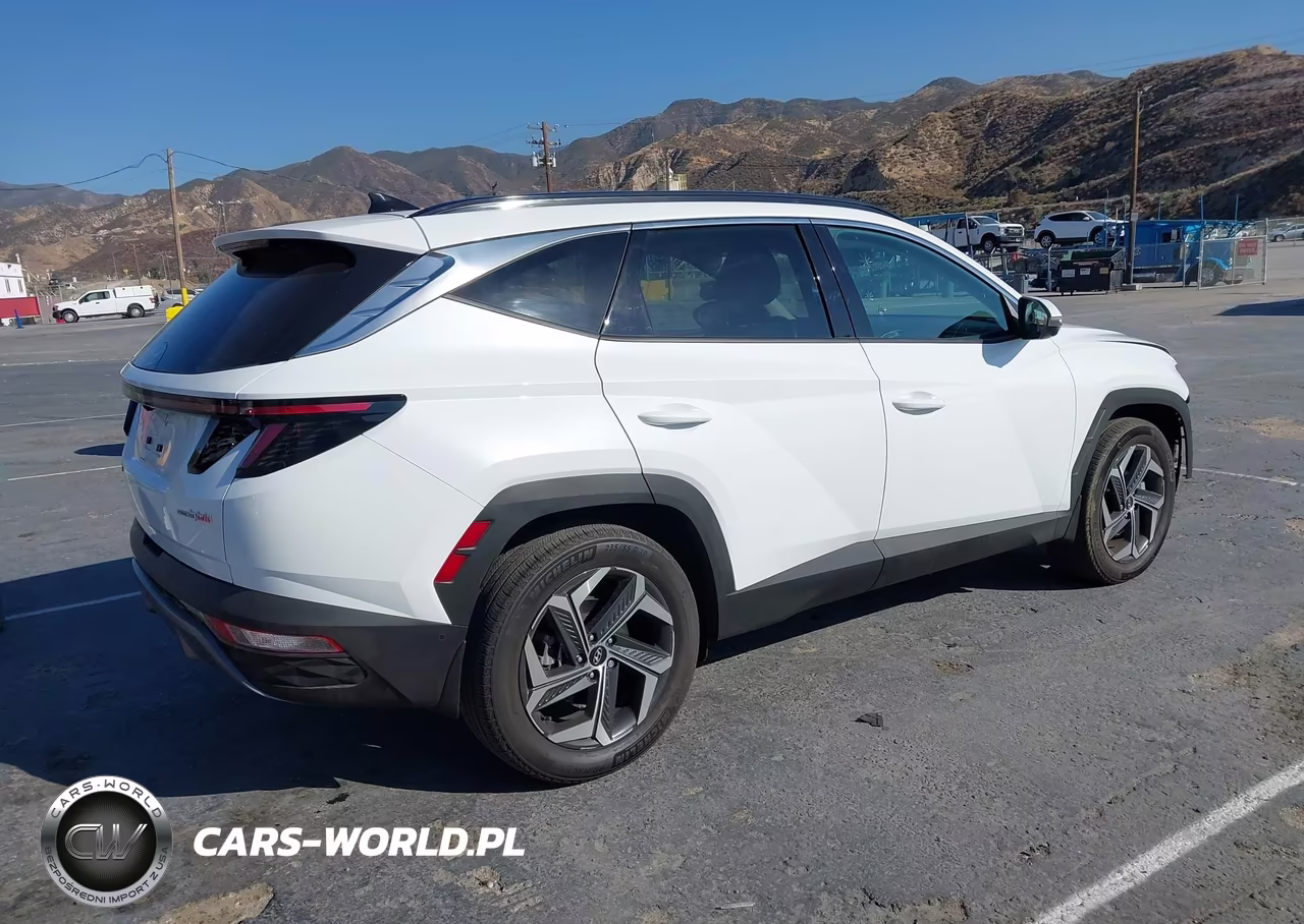 2024 Hyundai Tucson Hybrid Limited VIN:KM8JECD17RU222305 - 4