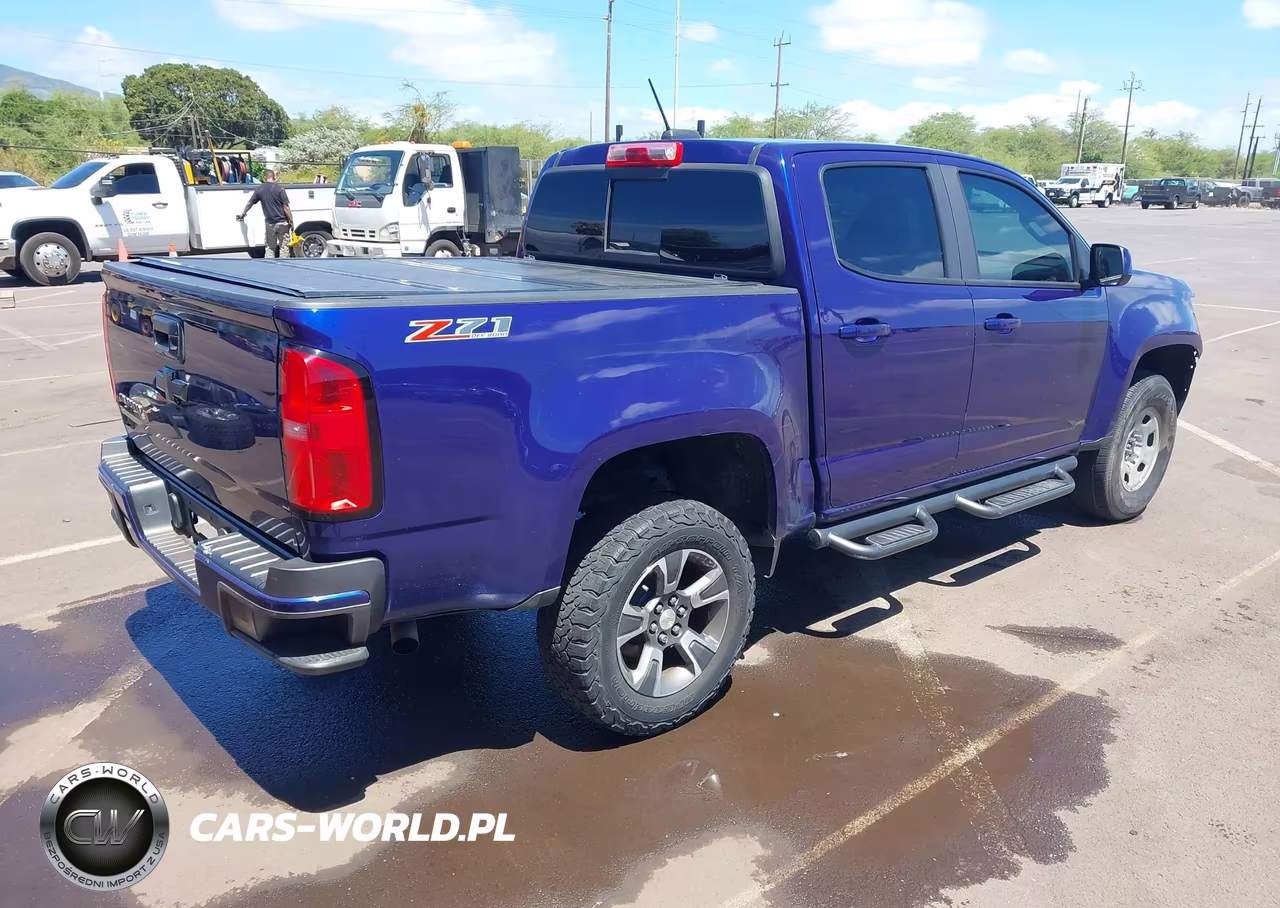 2016 Chevrolet Colorado Z71 VIN:1GCGTDE38G1384971 - 4