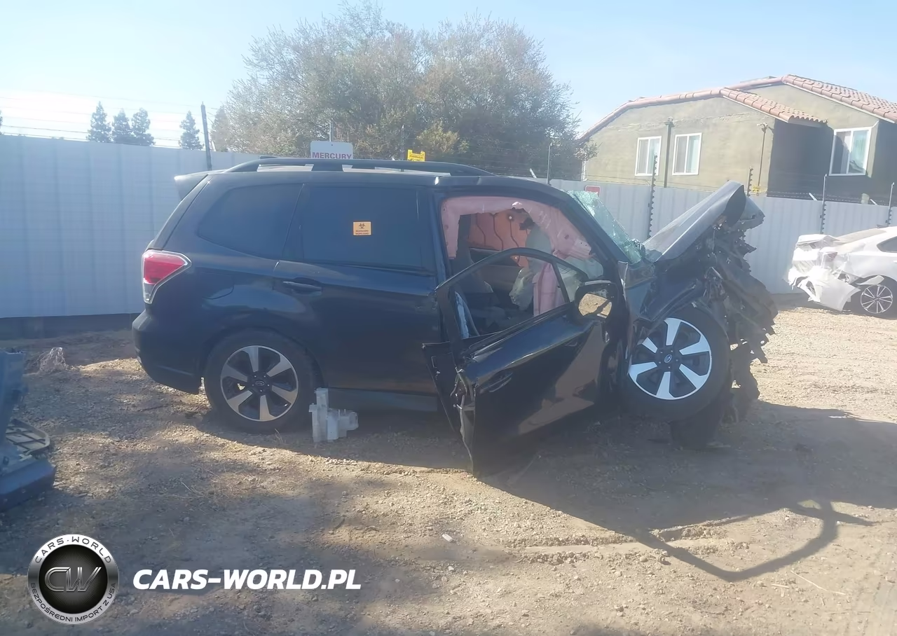 2017 Subaru Forester 2.5I Premium VIN:JF2SJAGC0HH447910 - 13