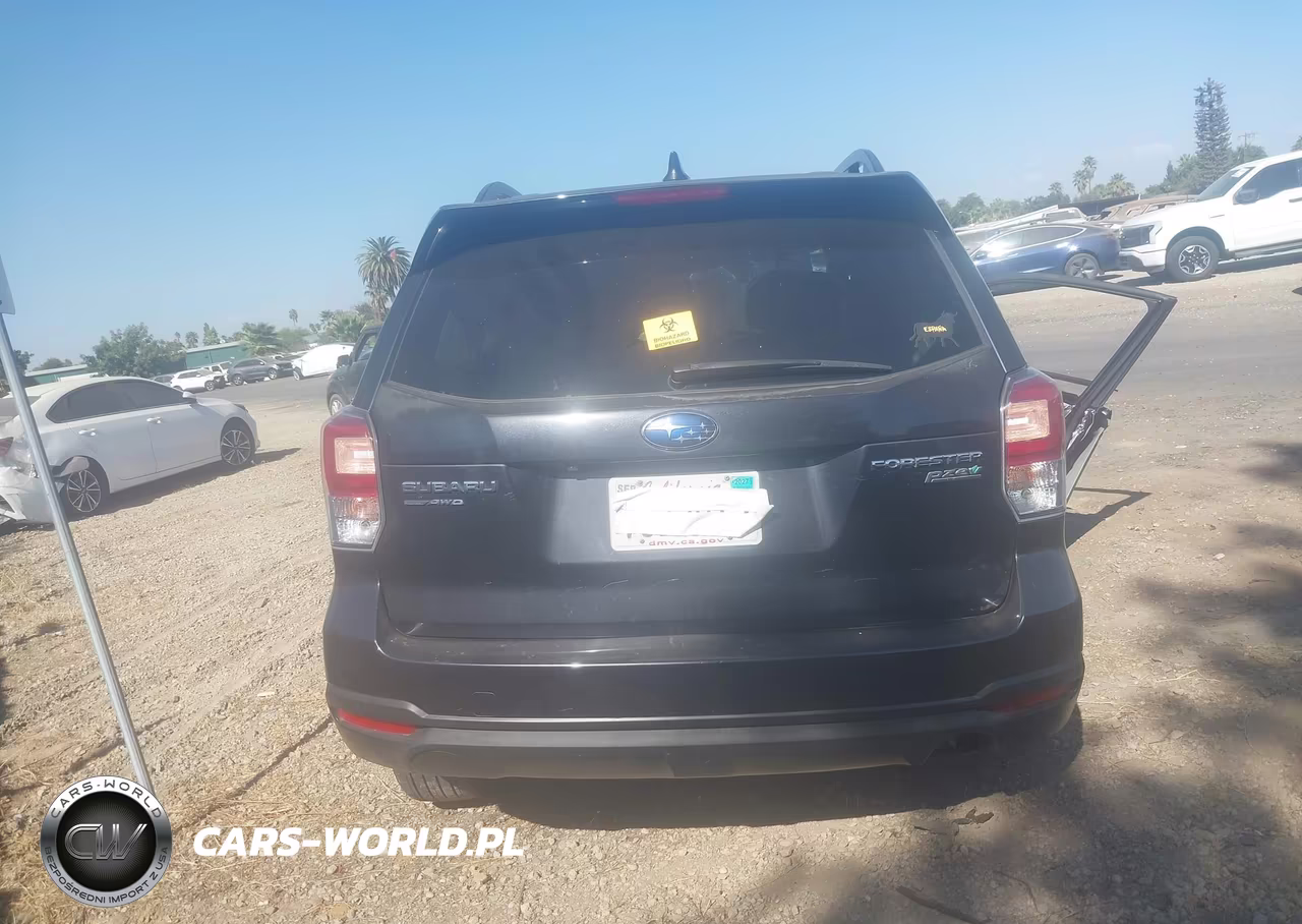 2017 Subaru Forester 2.5I Premium VIN:JF2SJAGC0HH447910 - 16