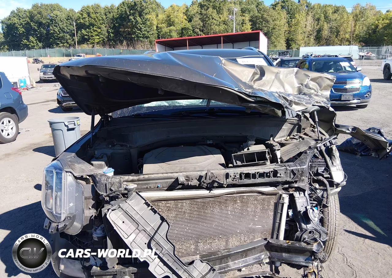 2023 Kia Telluride Ex VIN:5XYP3DGC6PG368961 - 12