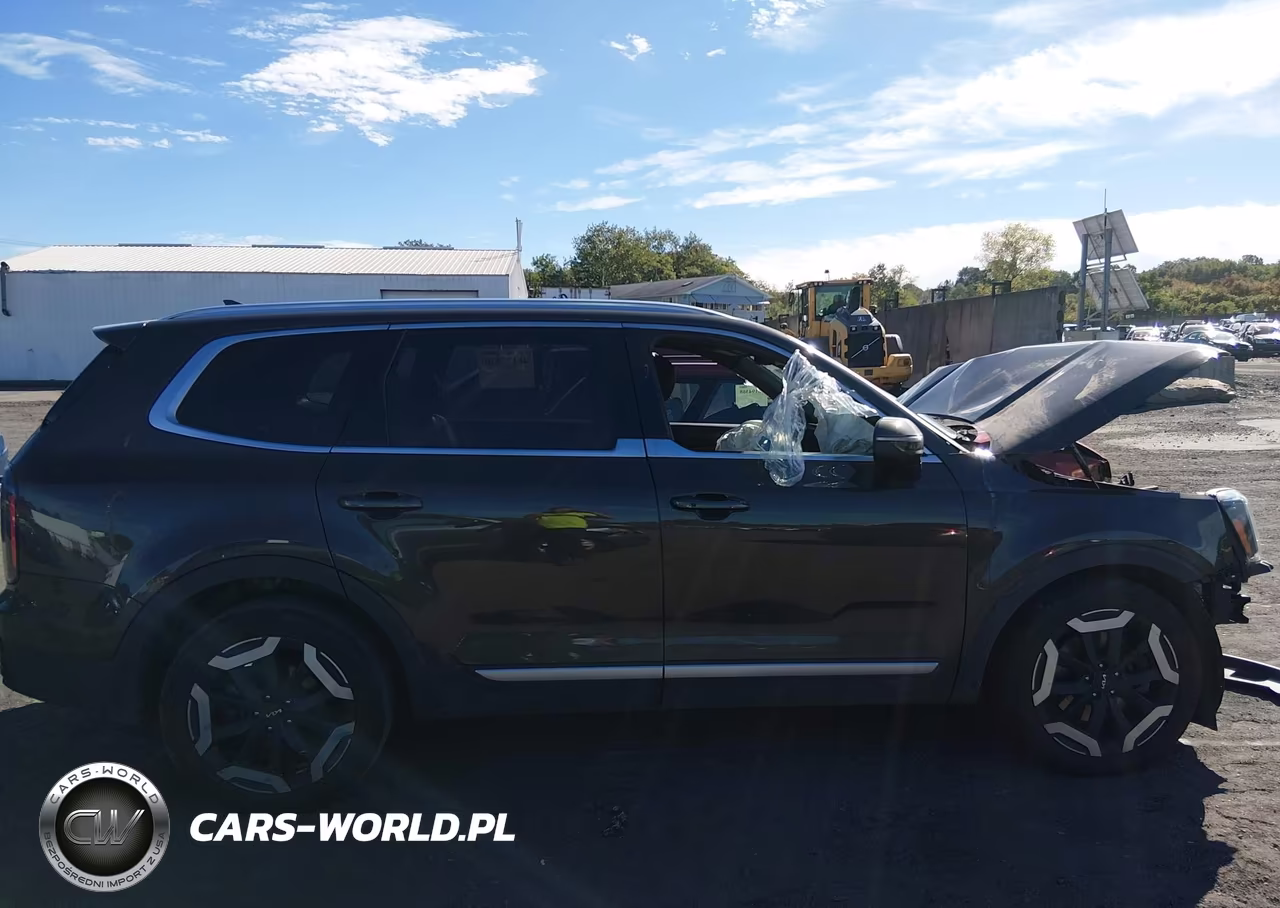 2023 Kia Telluride Ex VIN:5XYP3DGC6PG368961 - 13