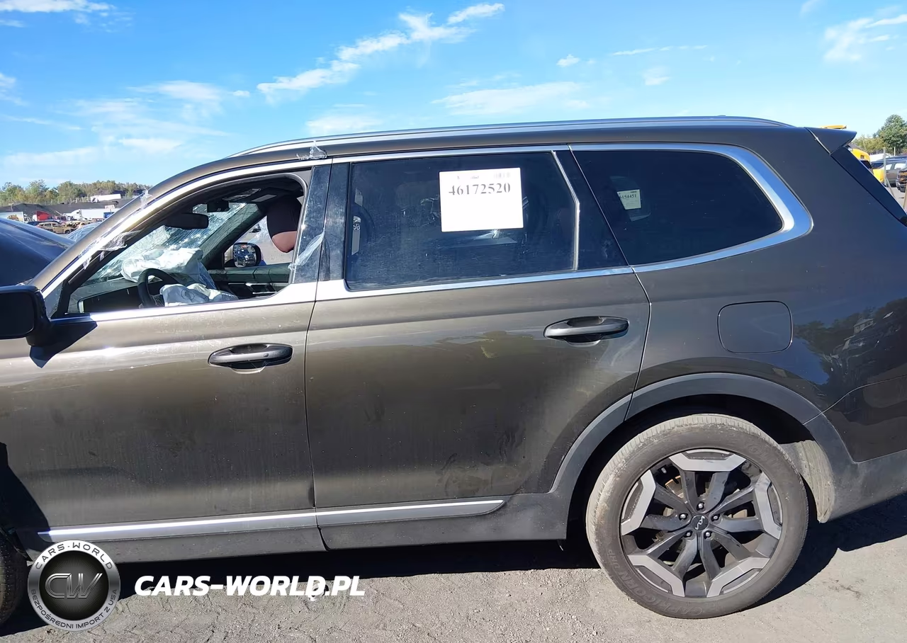 2023 Kia Telluride Ex VIN:5XYP3DGC6PG368961 - 14