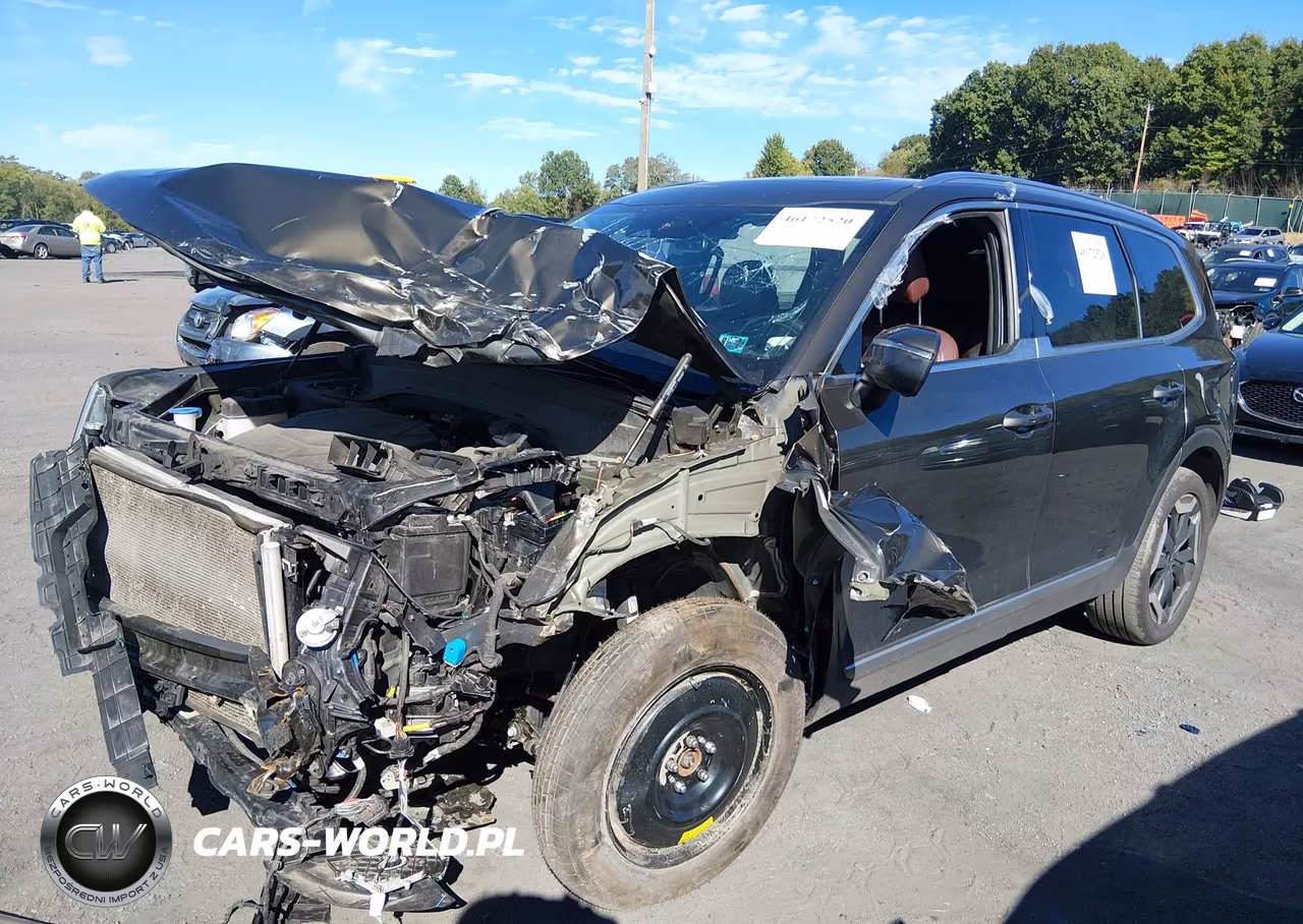 2023 Kia Telluride Ex VIN:5XYP3DGC6PG368961 - 2