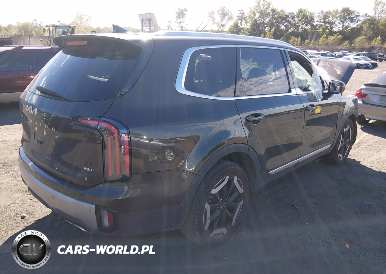 2023 Kia Telluride Ex VIN:5XYP3DGC6PG368961 - 4