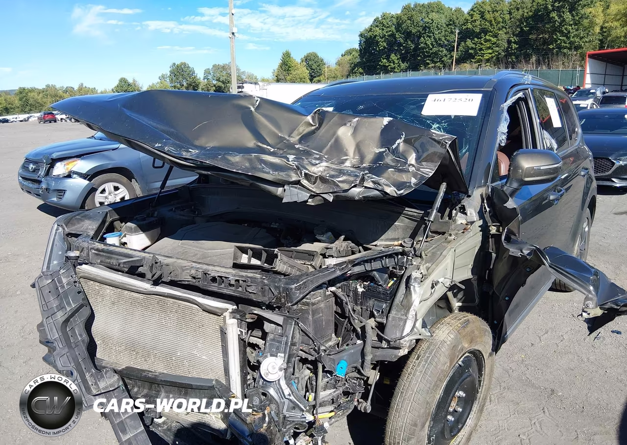 2023 Kia Telluride Ex VIN:5XYP3DGC6PG368961 - 6