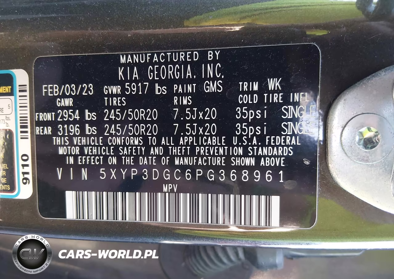 2023 Kia Telluride Ex VIN:5XYP3DGC6PG368961 - 9