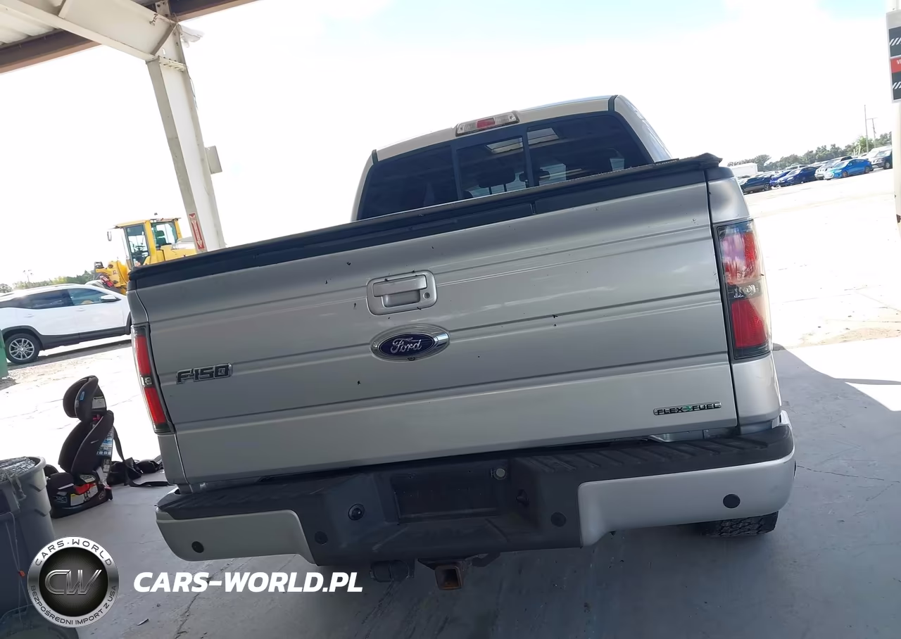 2014 Ford F-150 Fx4 VIN:1FTFW1EF9EFC33438 - 17