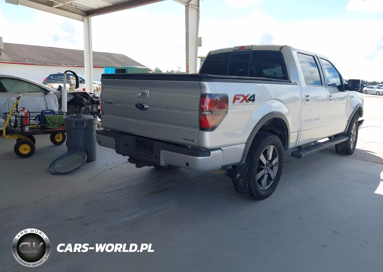 2014 Ford F-150 Fx4 VIN:1FTFW1EF9EFC33438 - 4