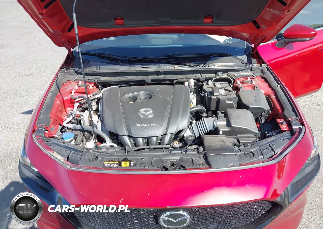 2019 Mazda Mazda3 VIN:JM1BPAJM5K1119316 - 10