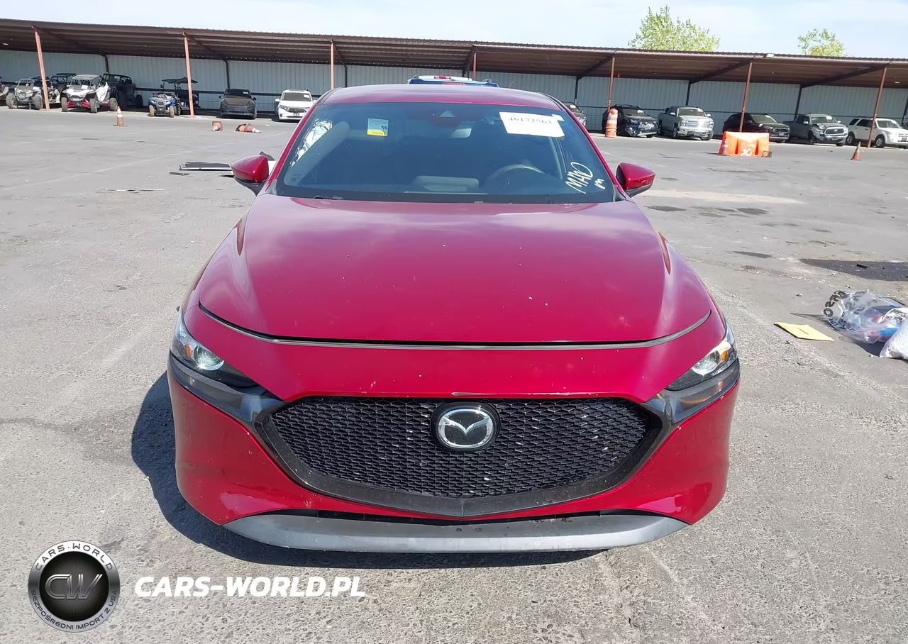 2019 Mazda Mazda3 VIN:JM1BPAJM5K1119316 - 13
