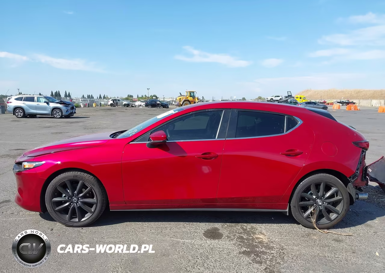 2019 Mazda Mazda3 VIN:JM1BPAJM5K1119316 - 15