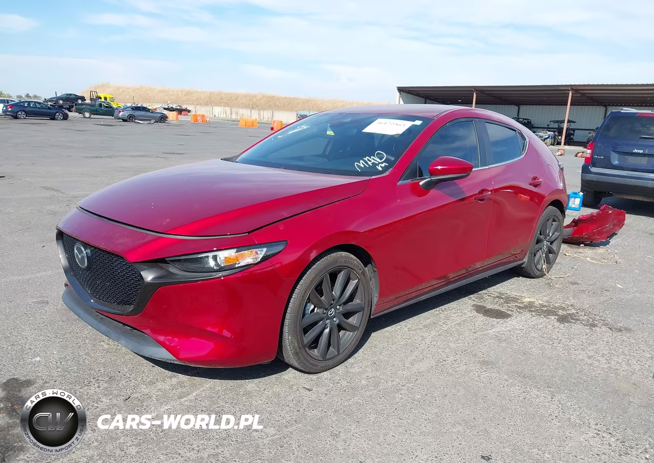 2019 Mazda Mazda3 VIN:JM1BPAJM5K1119316 - 2