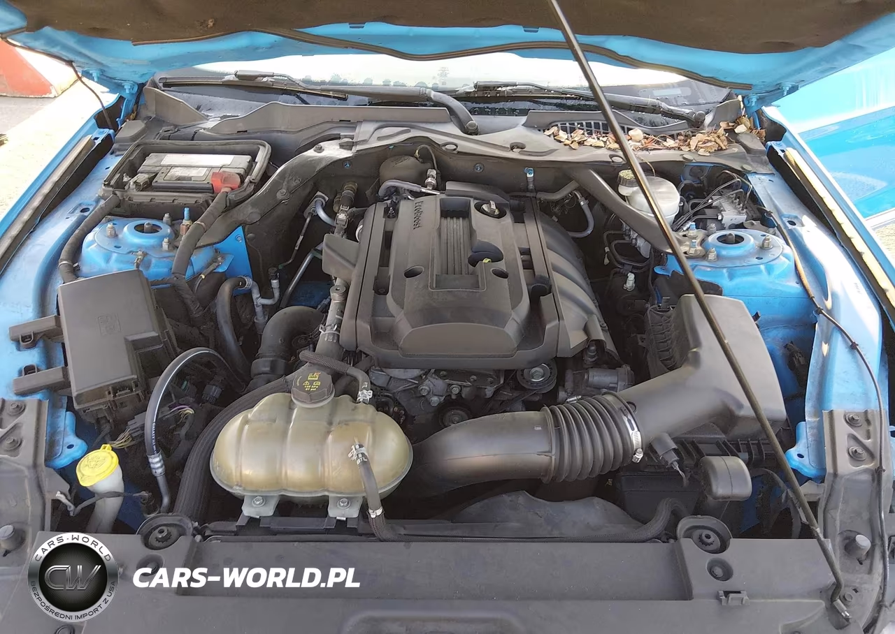 2017 Ford Mustang Ecoboost Premium VIN:1FATP8UH8H5310599 - 10