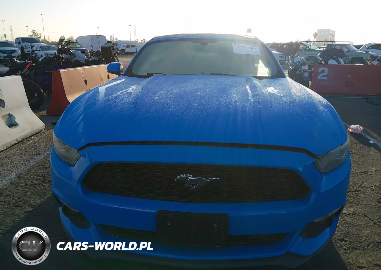 2017 Ford Mustang Ecoboost Premium VIN:1FATP8UH8H5310599 - 13