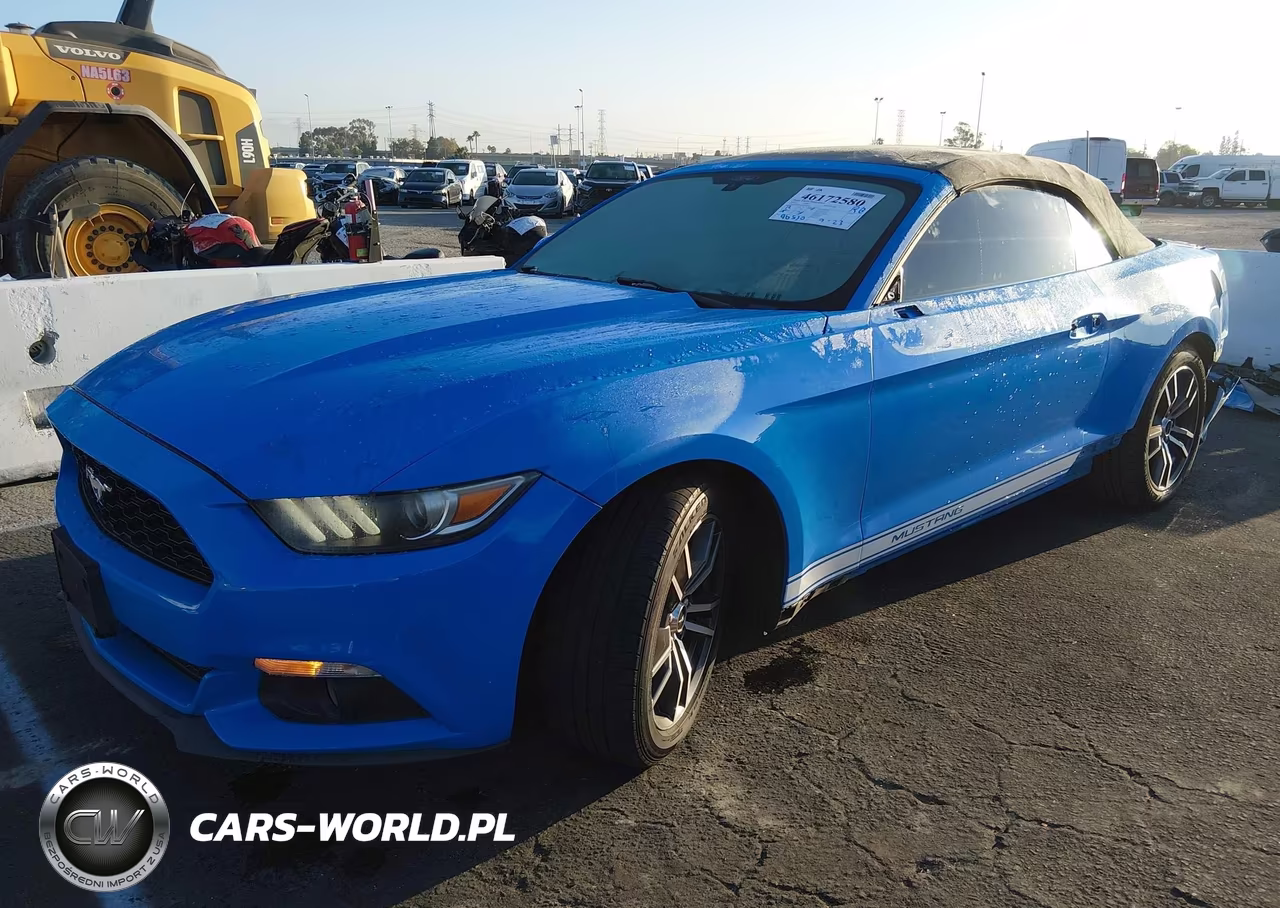 2017 Ford Mustang Ecoboost Premium VIN:1FATP8UH8H5310599 - 2