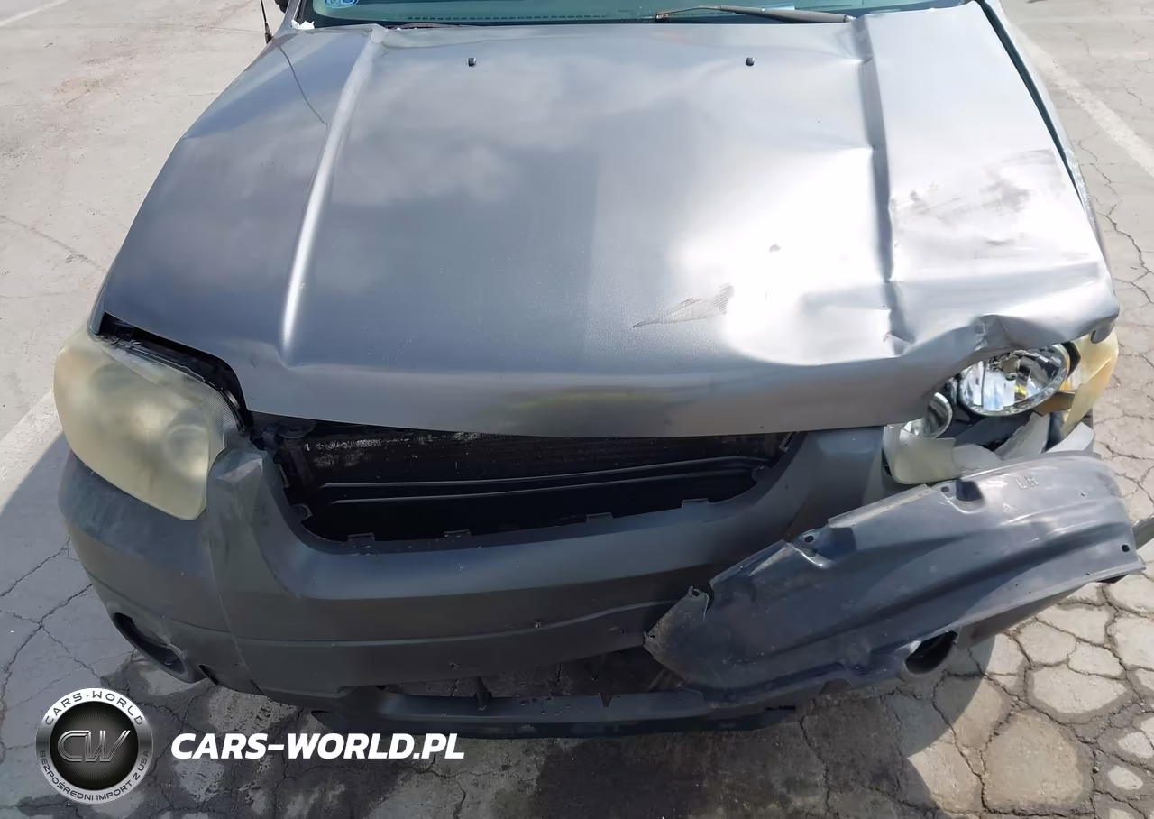 2005 Ford Escape Xlt VIN:1FMYU03195KB07888 - 6